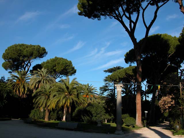 questa è Villa Celimontana, è a 15 minuti a piedi da casa mia, ossia da San Giovanni in Laterano, ci vado a riposare, a passeggiare, a leggere, è immersa nel verde, è veramente bella; buonanotte dans immagini buon...notte, giorno vllcelimontana02