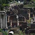 Passeggiate Romane - da Trastevere al Colosseo: 51 - Foro Romano 